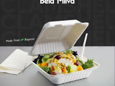 Food Packing Bagasse