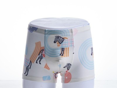 Children Antibacterial Underpants