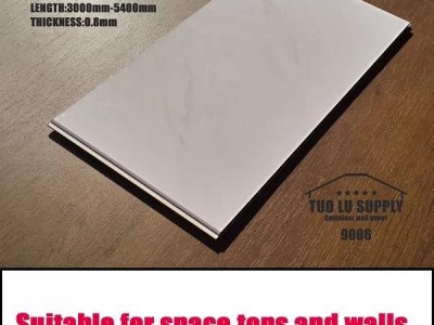 PVC Decorative Panel 9006