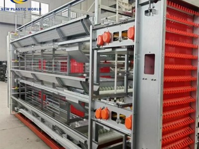 H-Type Automatic Egg Layer Chicken Cage