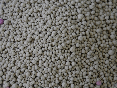 Cheapest pellet cat litter