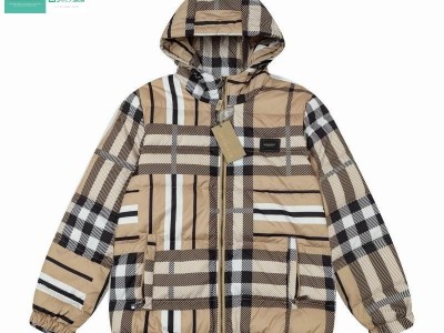 Wholesale Nylon Hooded Parka Jacket men's Puffer Down jackets Men's Hooded Quilt