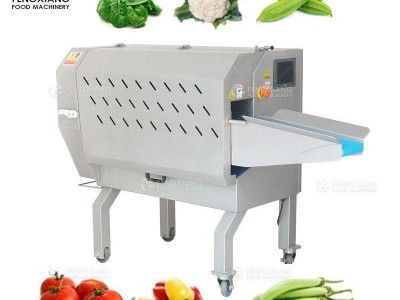 Fengxiang FTS-170 Multifunction Vegetable Cutting Machine Slicing Machine Slicer