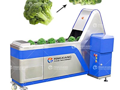 Broccoli Sorting And Cutting Machine