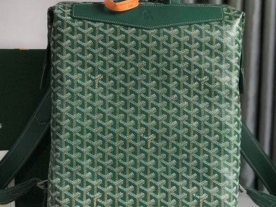 Goyard Cisalpin Backpack Men Leather Travel Backpack