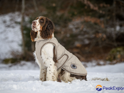 Dog coat Archie with teddy fleece lining,