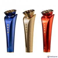 Home Beauty EMS RF Face Beauty Equipment Anti Wrinkle Skin Facial Beauty Device