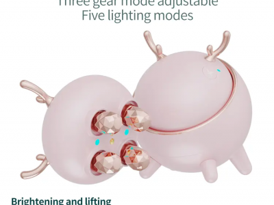 4 In 1 Led Skin Tightening Facial Portable Anti Wrinkle Home Use RF Beauty Devic