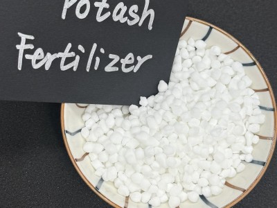 Potassium Nitrate For Fertilizer 7757-79-1 KNO₃ Granular