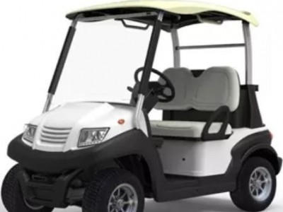 High Quality 2 Seater Mini Electric Battery Golf Cart - EG202AK