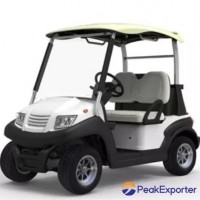 High Quality 2 Seater Mini Electric Battery Golf Cart - EG202AK