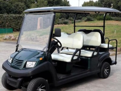 2+4 6 Seater Electric Golf Cart - EG204AKSZ