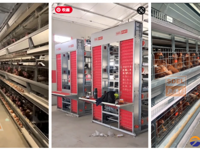 Battery cage sytem
