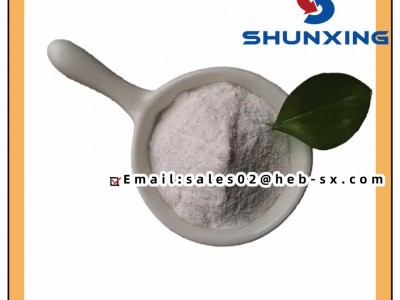 99% Purity Calcium Carbonate Powder for Plastic
