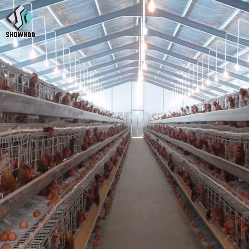 Custom Light Steel Poultry House for Layer and Broiler Farming